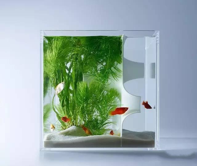 精美3d打印創(chuàng)意作品圖片欣賞 你見過3D打印的魚缸么?