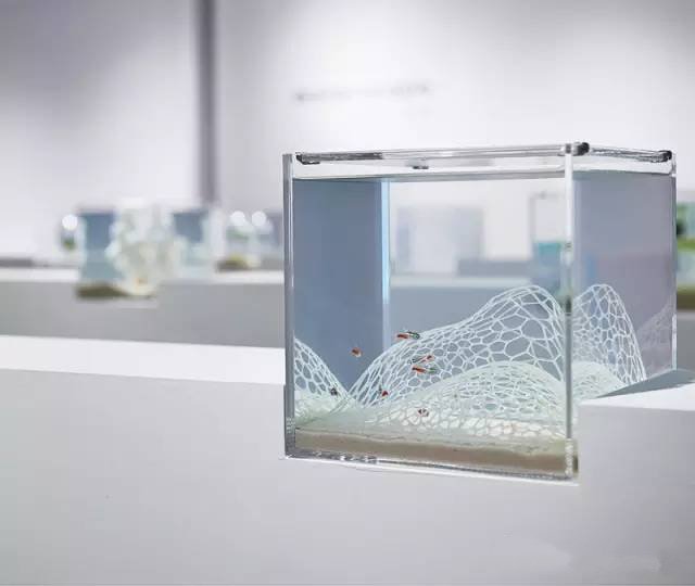 精美3d打印創(chuàng)意作品圖片欣賞 你見過3D打印的魚缸么?